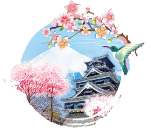 giới thiệu về japans.vn