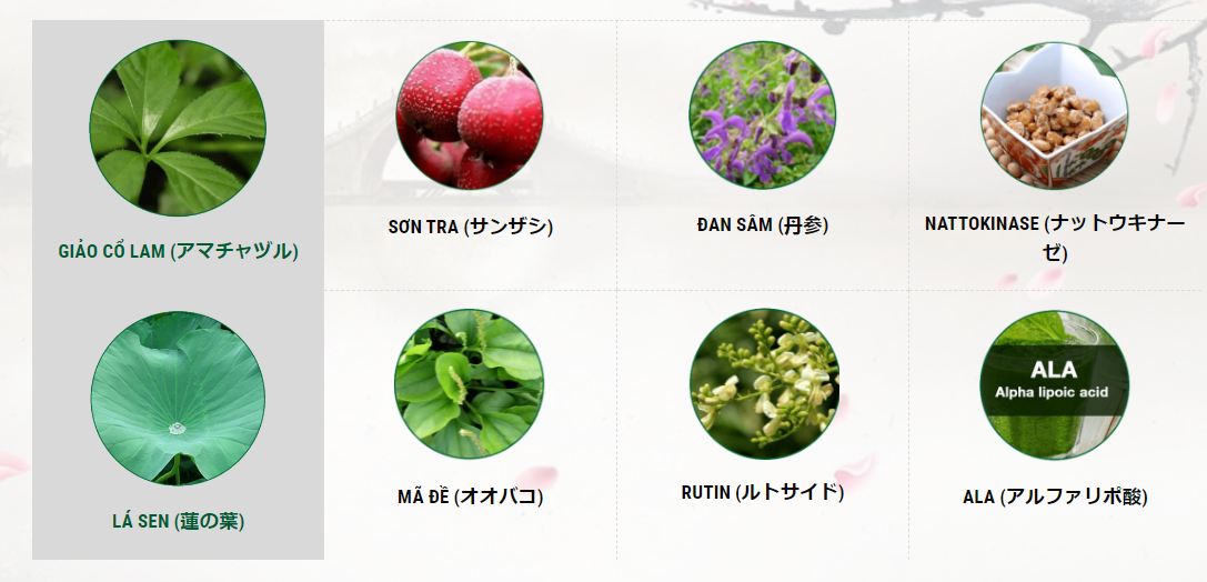 thành phần fujiwara