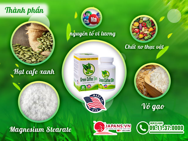 Thành phần chính của Green Coffee Slim