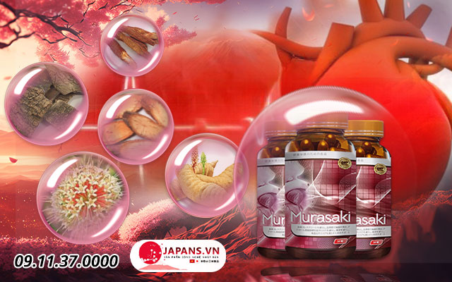 Combo 03 hộp Murasaki - Giúp ổn định & điều hoà chỉ số huyết áp 10 thành phần murasaki