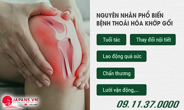 nguyên nhân thoái hóa khớp