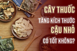 cây thuốc tăng kích thước cậu nhỏ có tốt không