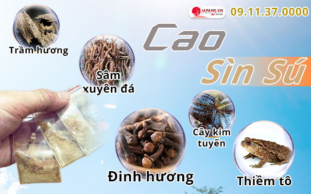 thành phần cao sìn sú
