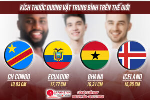 kích thước dương vật trung bình