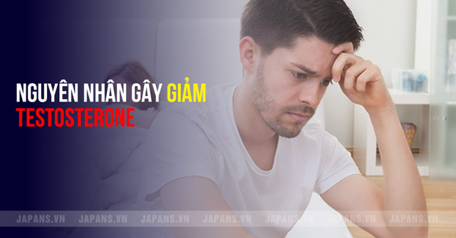 Suy giảm testosterone: Nguyên nhân, dấu hiệu và cách điều trị 6 Nguyên nhân suy giảm testosterone