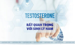Testosterone là gì?