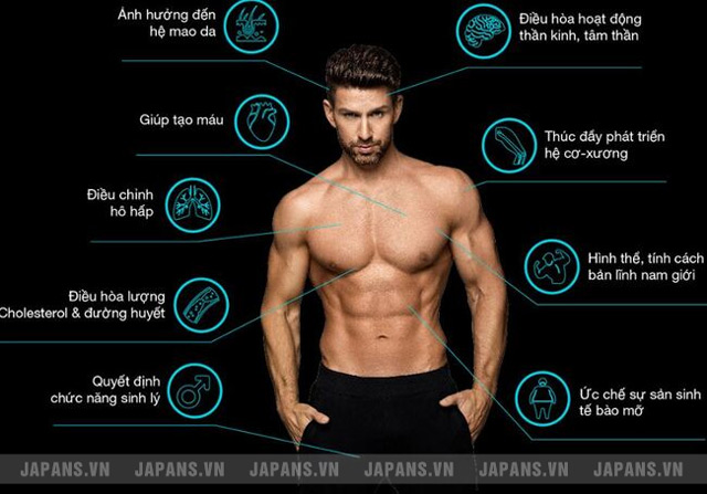 Testosterone là gì? Vai trò của nó đối với sinh lý nam giới 6 Vai trò của Testosterone trong sức khỏe sinh lý nam giới