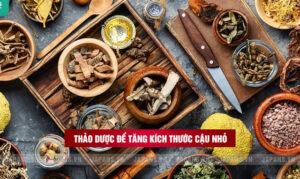 dụng thảo dược để tăng kích thước cậu nhỏ