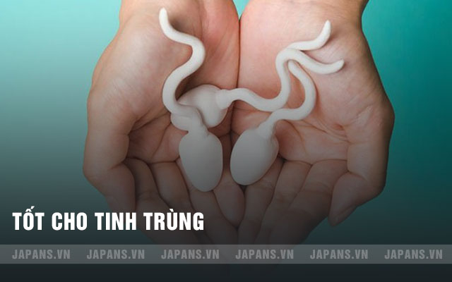 tốt cho tinh trùng