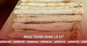 Nhục thung dung là gì?