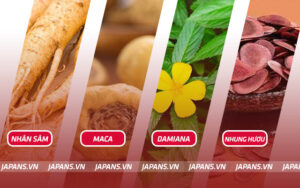 thuốc tăng cường sinh lý nam tốt nhất hiện nay