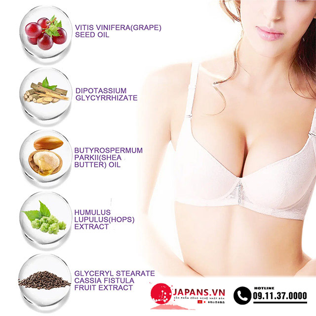 Thành phần có trong Breast Enhancement Cream nở ngực