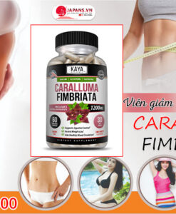CARALLUMA FIMBRIATA - Bí quyết lấy lại vóc dáng thon gọn 13 giới thiệu caralluma fimbriata
