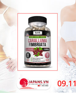 CARALLUMA FIMBRIATA - Bí quyết lấy lại vóc dáng thon gọn 14 thành phần caralluma fimbriata