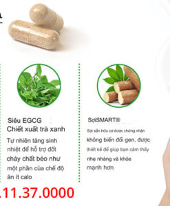 thành phần probioslim prebiotic-fiber