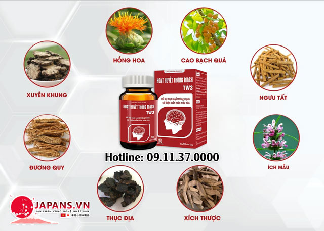 Hoạt Huyết Thông Mạch TW3 - Hỗ trợ hoạt huyết thông mạch, tăng cường sức khỏe tim mạch 10 Thành Phần Và Cơ Chế Hoạt Động Của Viên Uống Hoạt Huyết Thông Mạch TW3