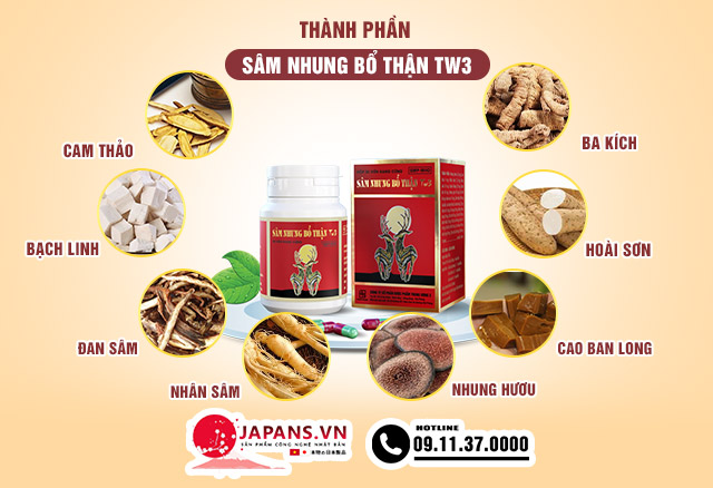 Sâm Nhung Bổ Thận TW3 bổ thận, ích tinh hộp 30 viên 11 Thành phần của Sâm Nhung Bổ Thận TW3