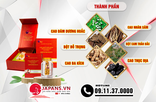 Viên hoàn bổ thận tráng dương Genmen hộp 49 viên cho nam 12 Thành phần của Bổ Thận Tráng Dương Genmen