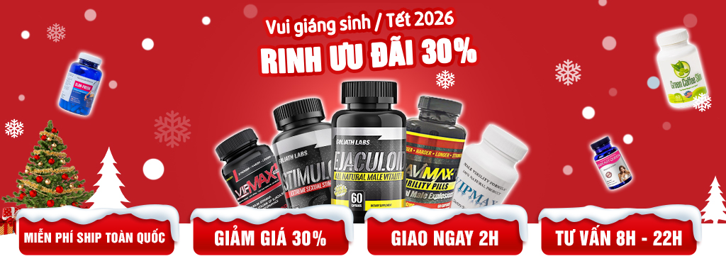 banner giáng sinh + tết 2026