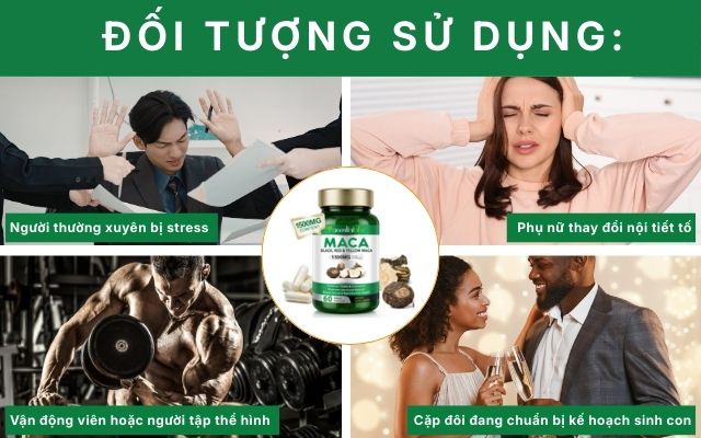 Maca Red Black Yellow 1500mg tăng cường và hỗ trợ sinh lý 16 Đối tượng sử dụng Maca Red Black Yellow 1500mg