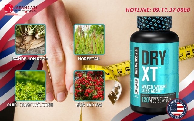 Dry XT Water Weight Loss Diuretic hỗ lấy lại vóc dáng từ Mỹ 13 Thành phần có trong Dry XT Water Weight Loss Diuretic